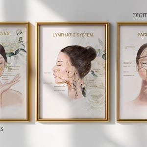 Estetikerdekor Ansiktsanatomitryck, Med Spa Väggkonst, Ansiktsmuskler Vener Lymfsystemet Set, Sjuksköterska Injektor Skönhetssalong Poster