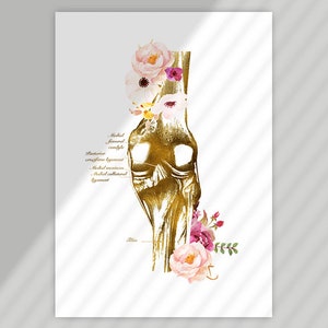 RMT Office Decor, Massage Therapist Gift, Massage Therapist Graduation Gift, Massage Room Decor, Muscular System Art, Anatomy Art Set image 4