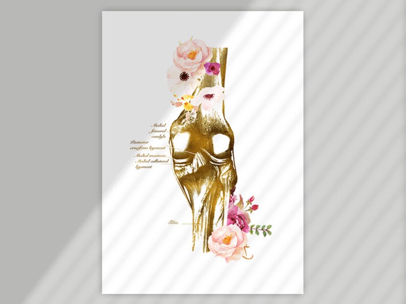 RMT Office Decor, Massage Therapist Gift, Massage Therapist Graduation Gift, Massage Room Decor, Muscular System Art, Anatomy Art Set image 4