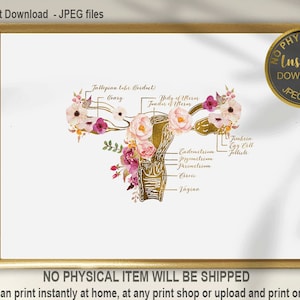 Obgyn Gift, Baarmoeder Anatomie Art, Baarmoeder Art Print, Gynaecoloog Gift, Vroedvrouw Kunst, Gynaecologie Office Decor, Medische Print, Anatomie Poster