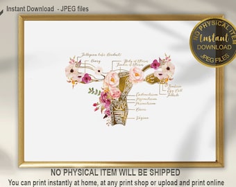Uterus Anatomy Art Print – Floral Human Anatomy Poster, Gynecology Wall Art, Medical Illustration Download