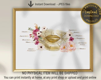 May include: A framed print featuring a gold-toned illustration of lips and facial anatomy, adorned with watercolor flowers in pink and white. The print includes text labels and the words "Instant Download - JPEG files".