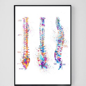 Anatomy Print Set, Medical Art Print, Anatomy Art Print, Printable Art, Doctor Gift, Art Print Set, Doctor Office Wall Decor Printable image 3