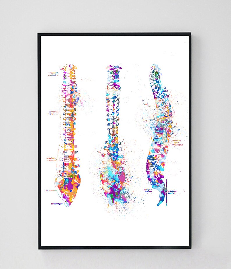 Anatomy Print Set Medical Art Print Anatomy Art Print Etsy