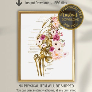 Pelvis Art, Pelvis and Nerves, Orthopedic Art, Chiropractor, Chiropractic Gift, Massage Therapist, Orthopedic Surgeon, Physical Therapist