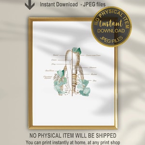 Dental Implant Poster, Dental Surgery Gift, Dental Clinic Decor, Dentist Gift, Hygienist Office Wall Art, Tooth Implant Art, Dentistry Decor