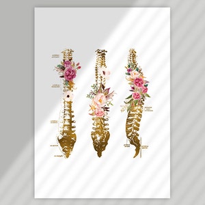 Puede incluir: Una ilustraci&oacute;n anat&oacute;mica dorada de la columna vertebral humana con acentos florales. La columna vertebral est&aacute; dividida en tres secciones, cada una con un arreglo floral diferente. Las flores son rosas, blancas y verdes.