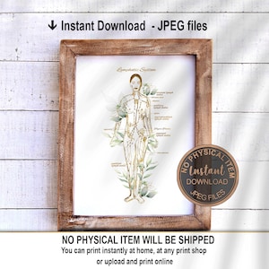 May include: A printable illustration of the lymphatic system, featuring a female figure with gold lines representing the lymphatic vessels. The illustration is set against a watercolor background of green leaves. The text "Lymphatic System" is at the top of the image.