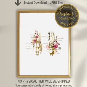Physical Therapist Office Decor, Hand and Foot Bones Art, Chiropractor and physical Therapist Gift, anatomy art, Graduation Wall Decor
