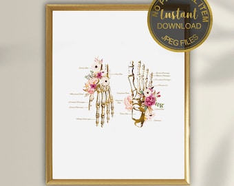 Hand and Foot Bones Art Print, Anatomy Poster, Physical Therapy Clinic Decor, Chiropractor Office Wall Art, Orthopedic Printable, Digital