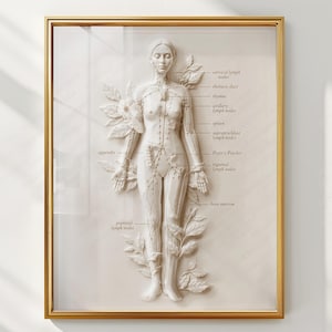Lymphatic System Anatomy Poster, Lymphatic Drainage Chart, Lymph Nodes Wall Art, Esthetician Decor, Massage Therapist Gift, Medical  Art, sc