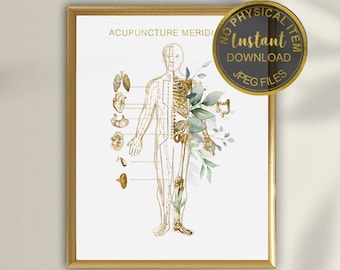 Acupuncture Meridians Poster, Acupuncturist Gift, Diagram Acupuncture Points, Chinese Medicine, Acupuncturist Office Decor, Acupuncture Art