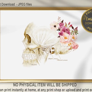 Temporomandibular Joint, TMJ Anatomy Art, Dental Art, Prosthodontist Gift, Prosthetic Dentist Office Decor, Skull Anatomy, Dentist Wall Art