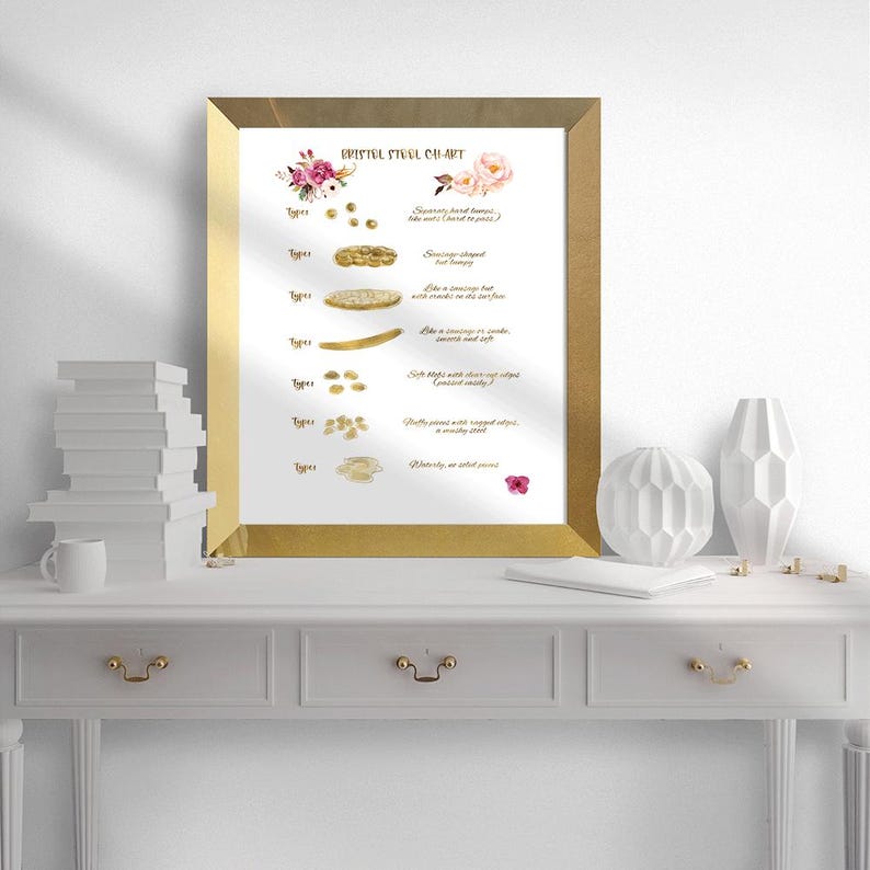 Bristol Stool Chart Printable, Poop Chart Bathroom Decor, Digestive