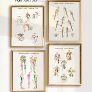 Lot de graphiques des points de déclenchement – ensemble d'affiches d'anatomie à téléchargement numérique pour thérapeutes, massage, physio, art mural pour cabinet médical, cadeau orthopédique