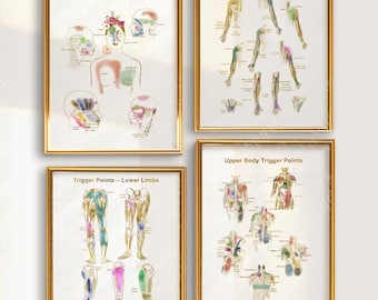 Trigger Points Charts Bundle – Digital Download Anatomy Poster Set for Therapists, Massage, Physio, Medical Office Wall Art, Orthopedic Gift
