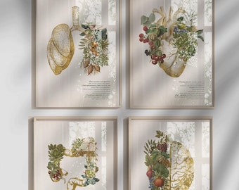 Conjunto de arte mural de anatomía para nutricionistas: 4 láminas imprimibles de órganos con frutas y verduras. Decoración para la oficina de bienestar. Decoración para la oficina de dietistas.