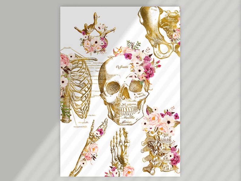 RMT Office Decor, Massage Therapist Gift, Massage Therapist Graduation Gift, Massage Room Decor, Muscular System Art, Anatomy Art Set image 8