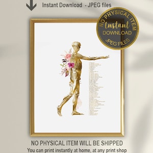 Human Muscular System, Anatomy Art, Orthopedic Gift, Chiropractor Office Decor, Physical Therapist Gift, Medical Wall Art, Anatomy Wall Art