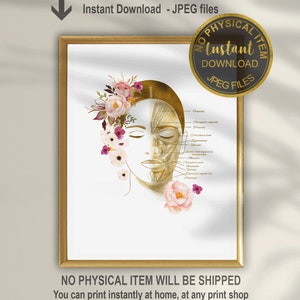 Facial Muscles Anatomy Art Print | Face Muscle Anatomy Poster for Esthetician, Botox & Aesthetic Clinic Decor