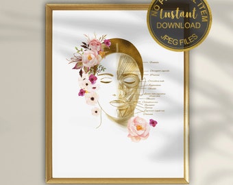 Facial Muscles Art Print, Esthetician Office Decor, Esthetician Gift, Esthetician Art, Massage Therapist, Botox Art, Plastic Surgery Art