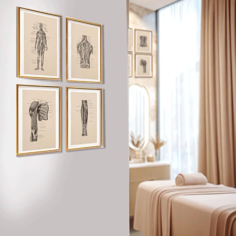 Anatomy Muscle Wall Art Set of 8 Prints, Vintage Medical Anatomy Poster ...