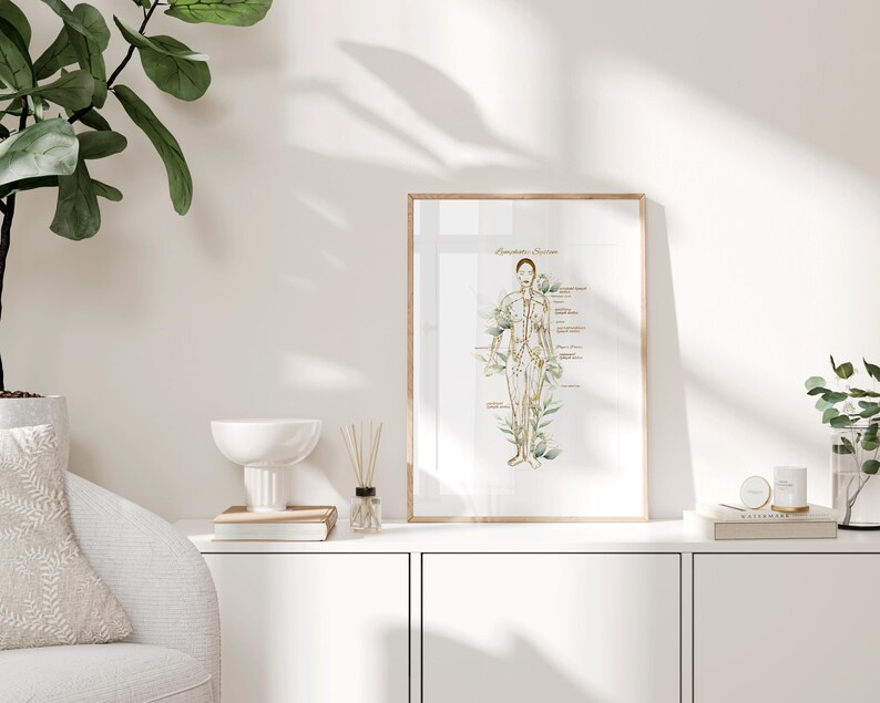 May include: A framed print of a watercolor illustration of a human figure with lines and dots representing acupuncture points. The title of the illustration is "Lymphatic System".
