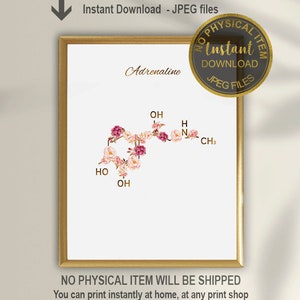 Adrenaline Molecule Print, Adrenaline Art, Chemistry Gift, Medical Art, Medical Office Decor, Neurochemistry Print, Adrenaline Print