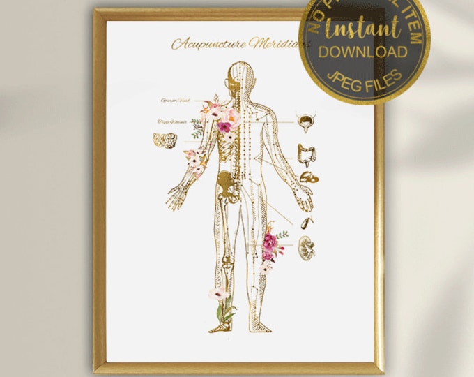 12 Major Acupuncture Meridians Chart, PDF Printable, Chinese Medicine