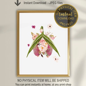 Female Anatomy Printable, Clitoris Art Print, OBGYN Gift, Gynecologist Gift, Sex Therapist Decor, Sex Therapy Art, Sexology Art, Sexologist