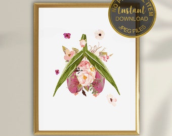 Weibliche Anatomie druckbare, Klitoris Kunstdruck, OBGYN Geschenk, Gynäkologen Geschenk, Sextherapeutin Dekor, Sextherapie Kunst, Sexologie Kunst, Sexologen