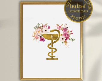 Apotheken-Abschlussgeschenk, Apotheker-Geschenk, Apotheker-Student, Apotheker-Druck, Schüssel mit Hygieia, Apotheker Rx Caduceus-Kunst, medizinische Kunst