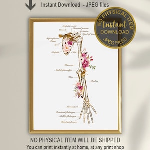 May include: Printable anatomy art print featuring a gold skeletal arm with floral accents. The print includes labels for the bones of the arm, including the humerus, ulna, radius, and hand bones. The print is perfect for a doctor's office, a classroom, or a home office.