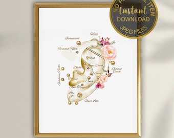 Ohrlochschablone für PiercingStudios, Professionelle Ohrloch Piercing Anleitung für die Kunden-Beratung (Digitaler Download)