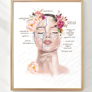 May include: An anatomical art print in a gold frame featuring a human face with labeled facial muscles and veins, adorned with pink and red floral accents. The diagram includes text labels such as supraorbital vein, facial vein, and masseter muscle.