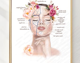 May include: An anatomical art print in a gold frame featuring a human face with labeled facial muscles and veins, adorned with pink and red floral accents. The diagram includes text labels such as supraorbital vein, facial vein, and masseter muscle.