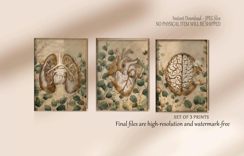 Anatomy Art Set of 3, Anatomy Wall Art Prints Lungs Brain Heart ...