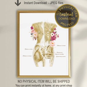 Muscles Of the Back, Muscular System Anatomy Art, Chiropractor Gift, Physical Therapist Art, Massage Therapist Office Decor, Printable Art