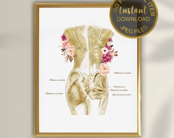 May include: A printable anatomical illustration of the female back and hip muscles with floral accents. The image is in a gold frame and has the text "Instant Download - JPEG Files" and "No Physical Item Will Be Shipped. You can print instantly at home, at any print shop or upload and print online."