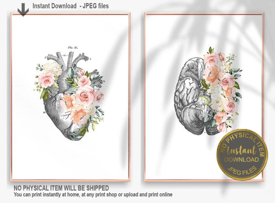 Heart and Brain Anatomy Art Prints Set, Floral Medical Wall Art, Doctor ...
