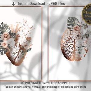 Printable Anatomy Art Print Set - Heart and Brain Wall Art - Medical Office Decor, Doctor Gift, Healthcare Professional Artwork