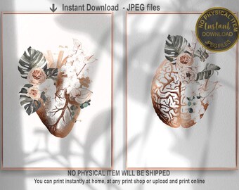Heart and Brain Anatomy Art Print Set for Medical Clinics and Doctor Offices – Human Organs Medical Wall Art, Printable Medical Gift