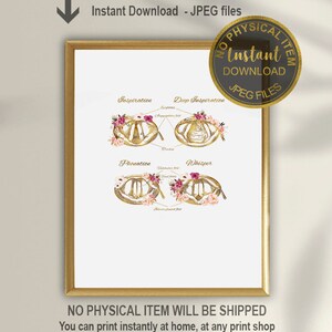May include: A printable digital illustration of the human vocal cords in different positions, including inspiration, deep inspiration, phonation, and whisper. The illustration is surrounded by pink and white flowers and gold accents.