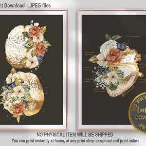 Human Anatomy Print Set of 2,Anatomical Heart Print,Anatomy Print,Anatomy Printable Art, Anatomy Poster, Medical Poster, Digital Download