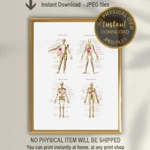 Body Systems Anatomy, Anatomical Art, Gift for Doctor, Medical Student Gift, Medical Art, Anatomy Art, Anatomy Print, Doctor Office Decor