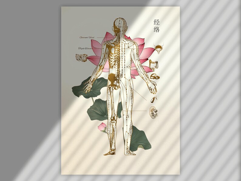 Acupuncture Points Chart Digital Download – Meridian Map for ...