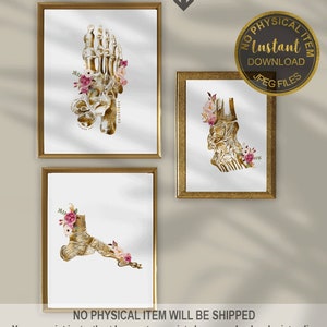 Foot Anatomy Art Print: Podiatrist Office Decor (Digital Download)