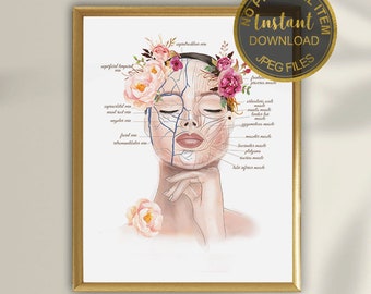 Face Anatomy Poster, Facial Muscles and Veins,Esthetician Art, Plastic Surgeon Art, Massage Therapist, Botox Poster, Cosmetic Injector Art