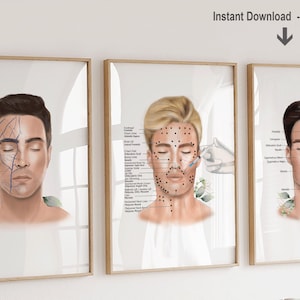 Gesichtsanatomie Art Print Set - Aesthetic Nurse Lerndekor mit Gesichtsmuskulatur, Venen, Botox-Injektion Po - Aesthetic Nurse Printable