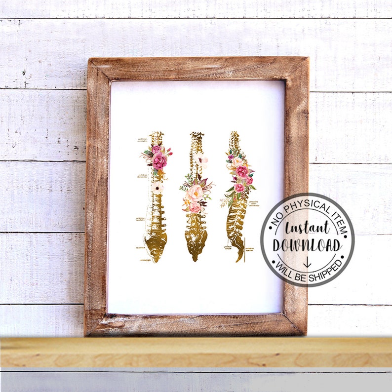 Puede incluir: Impresi&oacute;n digital de arte imprimible de una ilustraci&oacute;n anat&oacute;mica dorada de la columna vertebral humana con acentos florales rosas y blancos. El texto "NO PHYSICAL ITEM INSTANT DOWNLOAD WILL BE SHIPPED" est&aacute; en un c&iacute;rculo alrededor de una flecha que apunta hacia abajo.